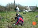 Planting Trees 011